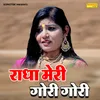 About Radha Meri Gori Gori Song